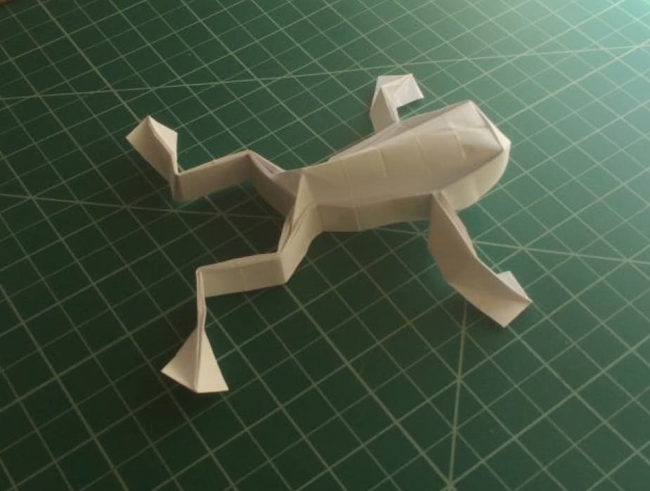 Galvani's frog: origami prototype